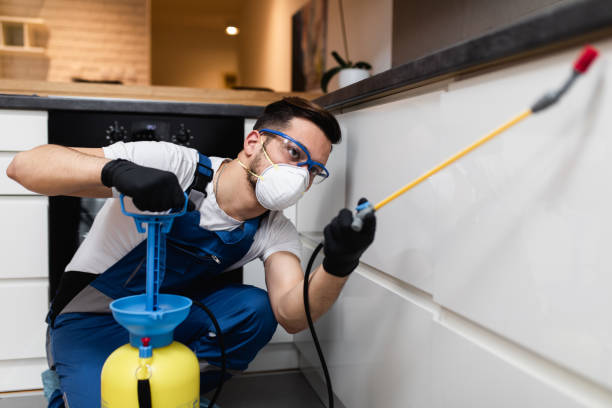 Best Affordable Pest Control Services  in Riverton, IL