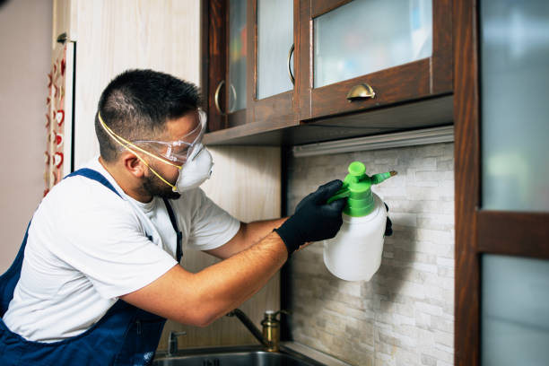 Best Emergency Pest Control  in Riverton, IL