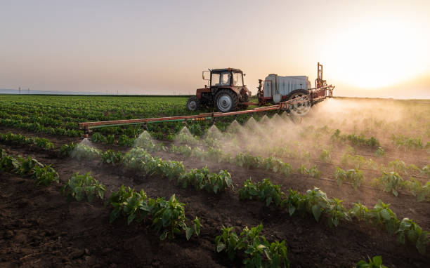 Best Commercial Pest Control Services  in Riverton, IL