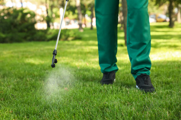 Best Best Pest Control Companies  in Riverton, IL