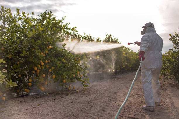 Best Rat Extermination Near Me  in Riverton, IL