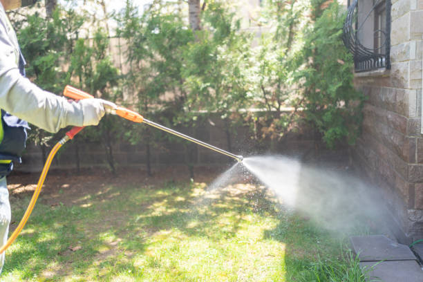 Best Insect Control  in Riverton, IL