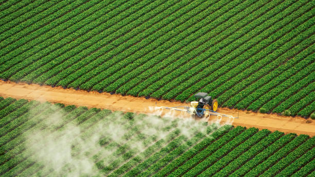 Best Mosquito Control Services  in Riverton, IL
