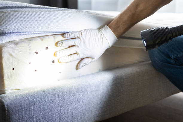 Best Cockroach Control Services  in Riverton, IL
