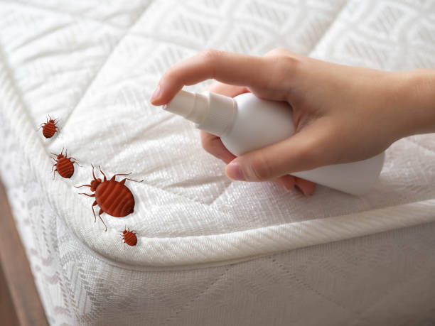 Trusted Riverton, IL Pest Control Experts
