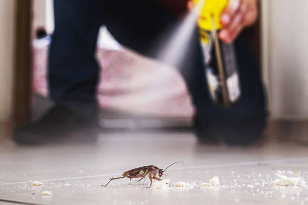 Best Pest Control Near Me in Riverton, IL