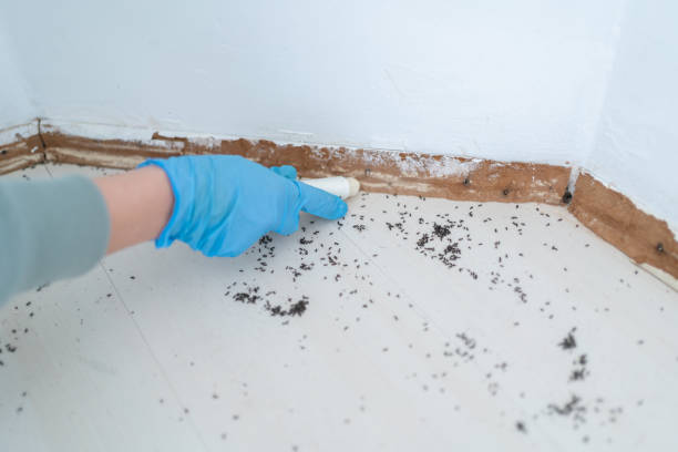 Best Commercial Pest Control Services  in Riverton, IL