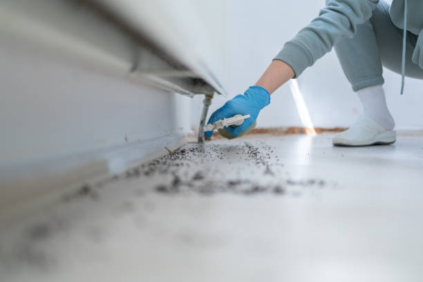 Pest Control Cost in Riverton, IL