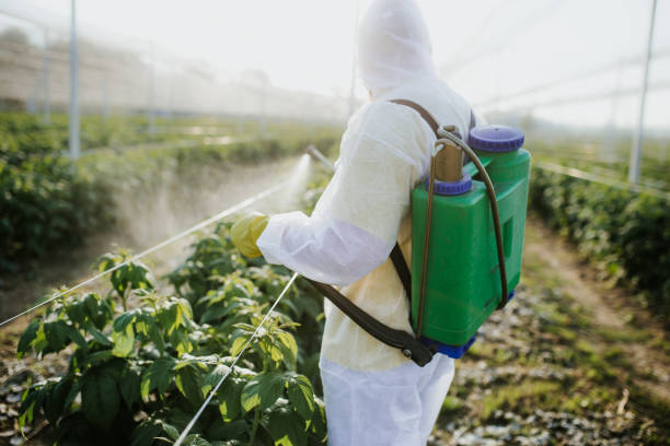 Best Pest Prevention Services  in Riverton, IL